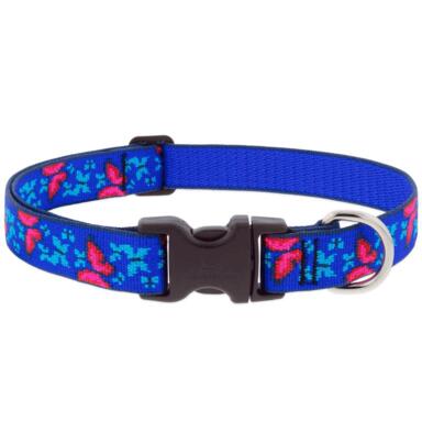 DOG COLLAR 12-20" BTRFLY