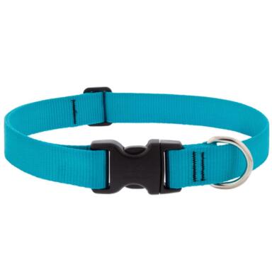 DOG COLLAR 12X20" AQUA