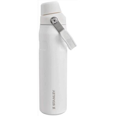 INSLTD BTTL SS FRST 24OZ