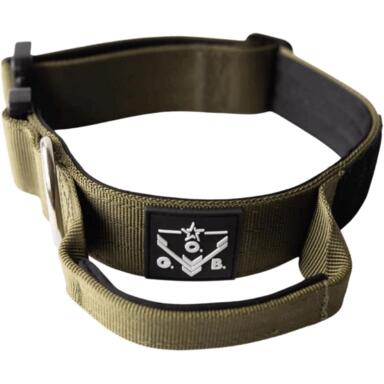 DOG COLLAR 15-20" GRN