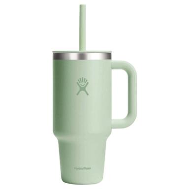 INSLT STR TMBL ALOE 32OZ
