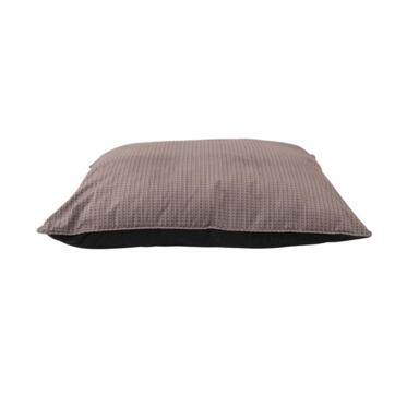 BED PET 36X72 ASST