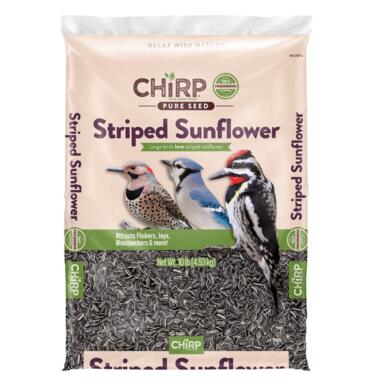 CHIRP STRPD SUNFLWR 10#