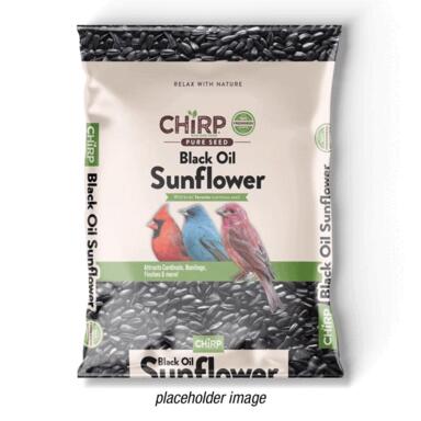 CHIRP BLKOIL SUNFLWR 20#
