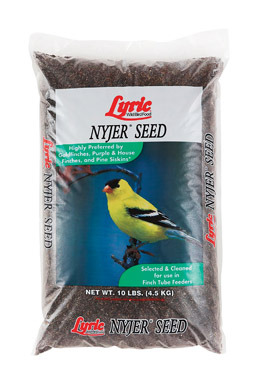 Lyric Nyjer Seed 10#
