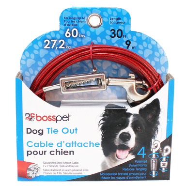 CABLE DOG TIE OUT 30'LRG