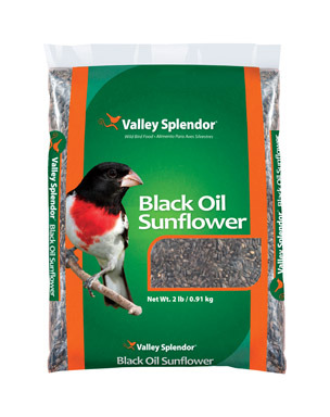 OIL SUNFLOWER BSEED 2LB