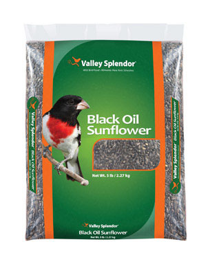 OIL SUNFLOWER BSEED 5LB