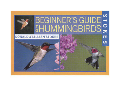 BEGIN GUIDE TO HMNGBIRDS