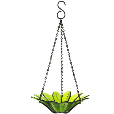 DAISY FEEDER LIME 7 3/4"