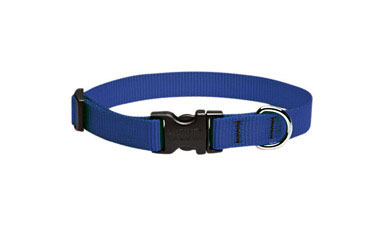 Lupine Pet Basic Solids Blue Blue Nylon Dog Adjustable Collar