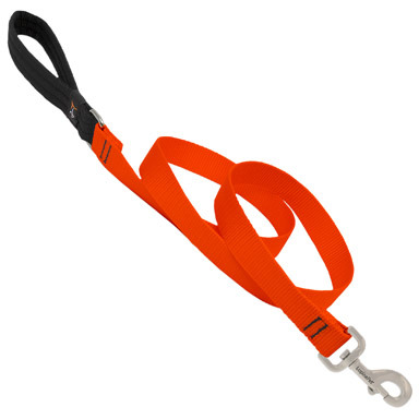 Dog Leash 6ft 1"blzorng