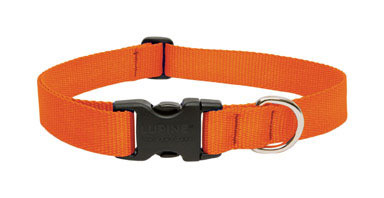 DOG COLLAR16-28"BLZORNG