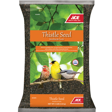 ACE THISTLE SEED 3#