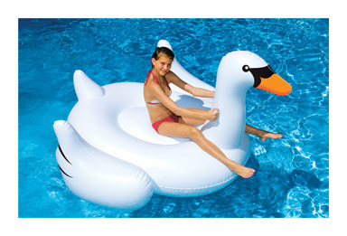 Inflatable Swan