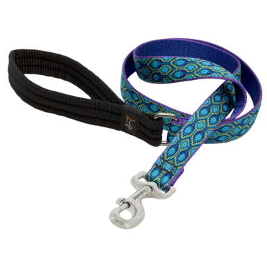 LEASH 6' RAIN SONG NYLON