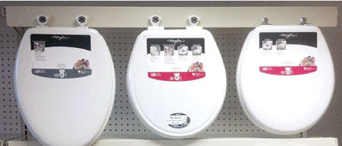 DISPLAY TOILET SEAT