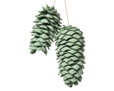 HANGING PINECONES