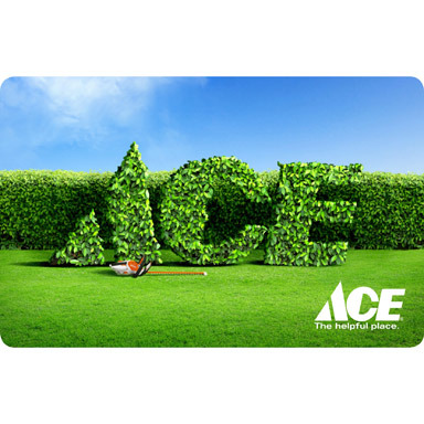 ACE GIFT CARD L&G