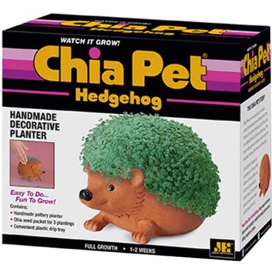 DECORATIVE PLANTR HDHOG