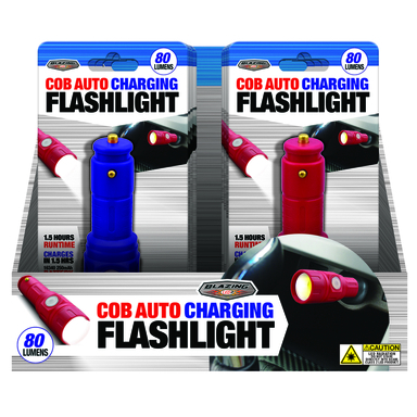 RECHARGBL FLASHLIGHT 12V