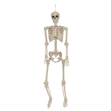 POSE N STAY SKELETON 5