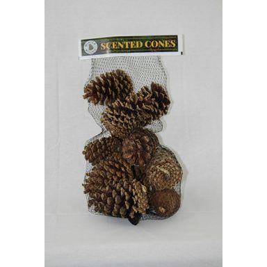 CINNAMON CONES LRG 14PK