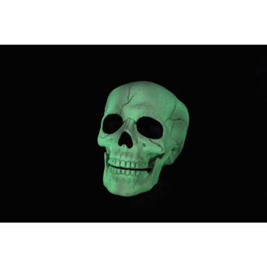 GLOW IN DARK MED SKULL