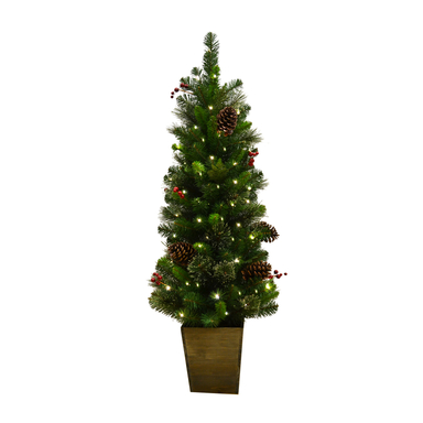 TREE CDR PINE WW 4'