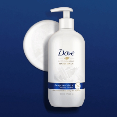 Hand Wash Dp Mstr 13.5oz
