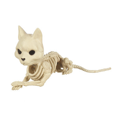 SKELETON CAT 6.5"W