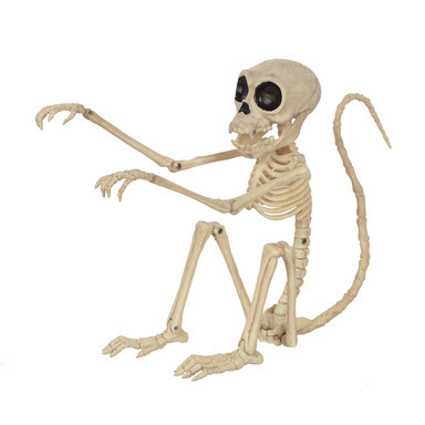 SKELETON MONKEY 7.25"H