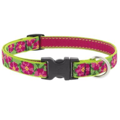 DOG COLLAR 9-14"PET ADJ