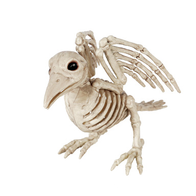 HALLOWEN SKELTN BIRD 9"