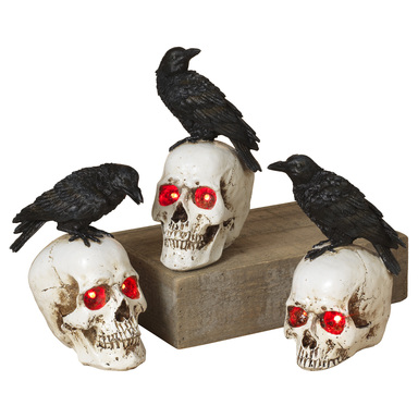 HLW DECOR SKULL W/ CROW