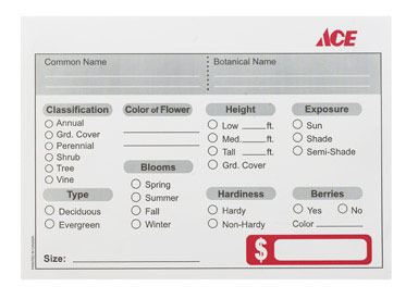 SIGN CLASFD ACE 5X7