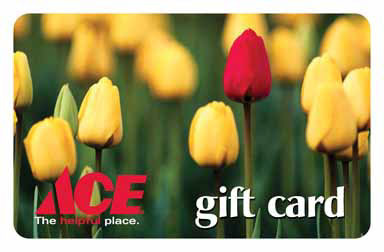 ACE GIFT CARD SPRING