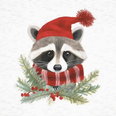CMAS WALL SIGN RACOON
