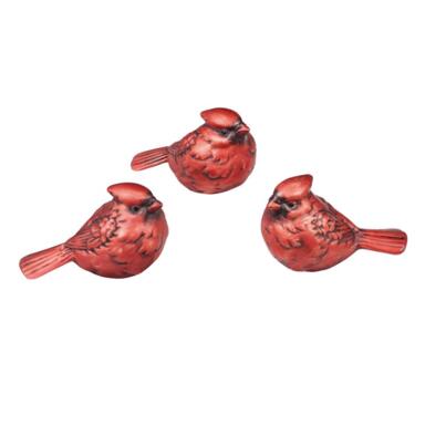CMAS CARDINAL RED ASST
