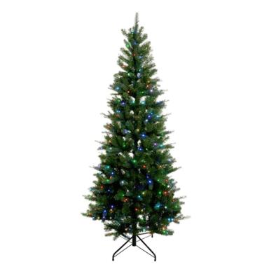 CMAS TREE LAKLND PINE 7'
