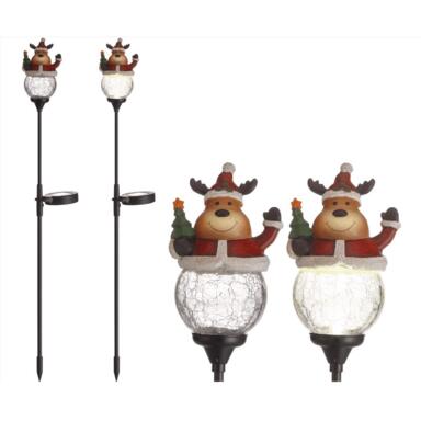 Cmas Pthwy Dcr Moose 30"