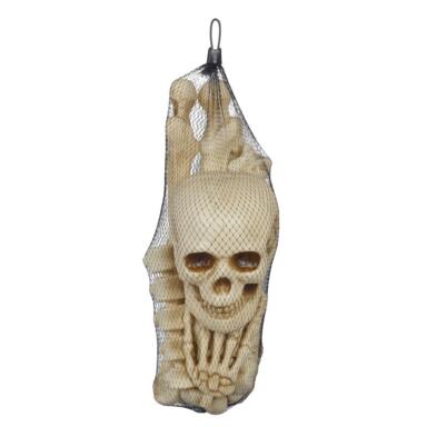 Skeleton & Bones In Bag