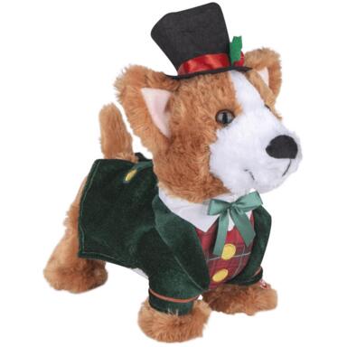 CMAS DNCNG CORGI 10"