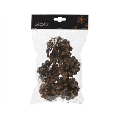 CMAS PINECONE NTRL 5PC