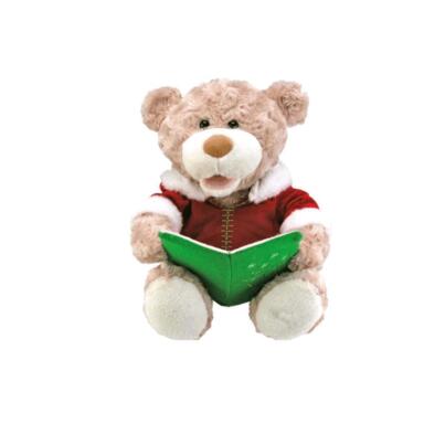 CMAS STORY TEDDY BEAR
