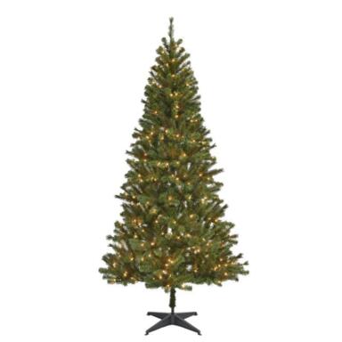 CMAS TREE EVRGRN 7.5'