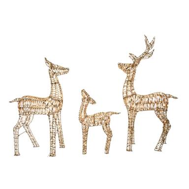 YRD DCR GLD WR DEER FMLY