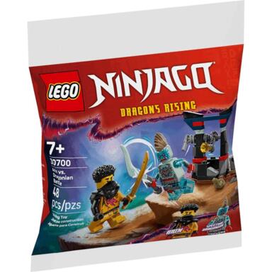 NS LEGO ARIN VS DRAGON