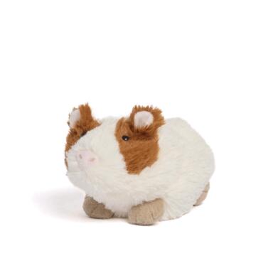 Warjr Guinea Pig