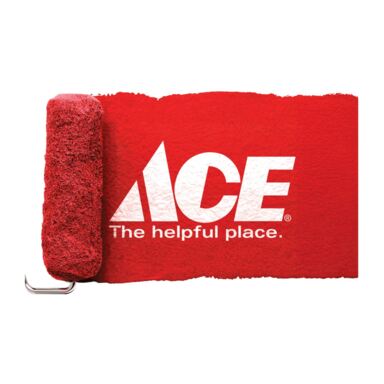 ACE GIFT CARD PAINT SB